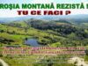 rosia-montana3