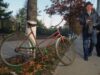 biciclete biciclete