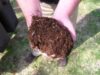 compost1 compost1