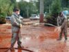 dezastru ecologic