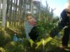 08_turcan