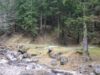 Sub presiunea Directivei Europene "Habitat", practicarea turismului in Parcul Natural Bucegi, reglementata prin hotarare de Guvern