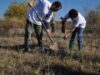 Plantare_IslazWWF_159876af37 Plantare_IslazWWF_159876af37
