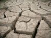 3 milioane de ha de teren agricol sunt degradate