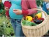 Romanii nu stiu ce inseamna "alimentatie ecologica" Romanii nu stiu ce inseamna "alimentatie ecologica"