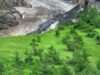 Muntii ar putea asigura un refugiu in lupta cu schimbarile climatice Muntii ar putea asigura un refugiu in lupta cu schimbarile climatice