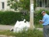 PoliÈ›iÈ™tii i-au sancÈ›ionat pe cei care au lÄƒsat gunoiul Ã®n spaÈ›iul public