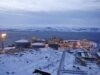 antarctica antarctica