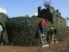 PeisagiÅŸtii planteazÄƒ iederÄƒ pe Arca Verde