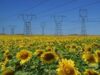 bioenergie_400x300