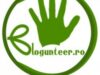 blogunteer
