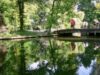gradina botanica gradina botanica