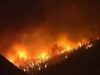 Sanctiuni dure pentru incendiatorii de vegetaţie uscată Sanctiuni dure pentru incendiatorii de vegeta?ie uscat?