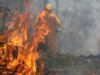 Peste 60 de hectare de vegetaţie uscată, fâneţe şi mărăciniş au ars în Parcul Naţional Cheile Caraşului