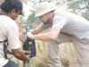 Leonardo DiCaprio lupta pentru salvarea tigrilor