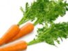 Radacinoasele - vitaminele de care avem nevoie in sezonul rece Rădăcinoasele – vitaminele de care avem nevoie în sezonul rece