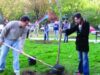 oradea