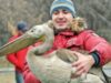 ÃŽn vÃ¢rstÄƒ de un an, pelicanii nu ÅŸi-au pierdut Ã®ncÄƒ penajul gri. Abia mai tÃ¢rziu le vor apÄƒrea penele roz