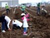 Liceul de Arta - "Saptamana verde" si-a desemnat laureatii Liceul de Artă - "Săptămâna verde" şi-a desemnat laureaţii