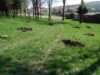 PMS Tg JIU/ 20 de persoane private de libertate Ã®n slujba protecÅ£iei mediului Ã®nconjurÄƒtor