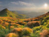 Locul unde se ascund plantele in timpul schimbarilor climatice Locul unde se ascund plantele in timpul schimbarilor climatice