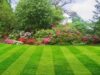 BucureÅŸtiul ar putea ramane fÄƒrÄƒ o treime din spaÅ£iu verde