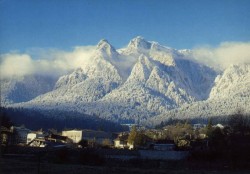 bucegi Zeci de hectare de arbori distrusi de gandaci, in Parcul Natural Bucegi