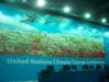 Summit-ul de la Cancun, un cosmar logistic