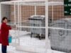 Satu Mare: Gunoiul selectat se colecteza la gramada