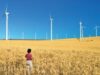 Potential de energie regenerabila mai mic fata de cel estimat Potential de energie regenerabila mai mic fata de cel estimat