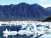 ghetari Incalzirea climatica ne-ar putea imbolnavi de cancer