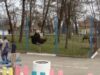 Gradina Zoologica din Ostroveni va fi modernizata