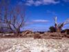 Lumea, la mila naturii in 2010: cutremure, tsunami si catastrofe