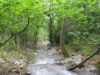 Pagin? web pentru Natura 2000
