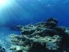 Studiu: Fierul prezent in oceane contribuie la incetinirea incalzirii climei prin captarea CO2 din atmosfera