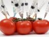 Monsanto, una din cele mai mari companii de alimente modificate genetic (OMG), a interzis alimentele MG din cantinele propriei corporații