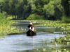 Proiecte secrete in Delta Dunarii: "Orasul viitorului" si o insula artificiala plutitoare