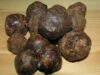 propolis Propolisul, antibiotic natural