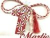 De Martisor, elevii şcolii „Toma Caragiu” din Ploieşti au transmis mesaje care îndeamnă la protejarea mediului înconjurător.