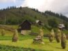 1 Mai in natura: la pescuit in Delta sau drumetii in Bucovina