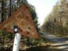 Consecintele accidentului de la Cernobil raman un pericol pentru mediu Consecintele accidentului de la Cernobil raman un pericol pentru mediu