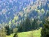 Ministerul Mediului nu va mai organiza în acest an licitaţii pentru construcţia de parcuri în mediul rural Ministerul Mediului nu va mai organiza în acest an licitaţii pentru construcţia de parcuri în mediul rural