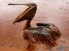 Un petrolier eşuat în luna octombrie pe un recif neozeelandez s-a rupt în două din cauza unei furtuni violente