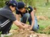 Campanie de plantat puieti