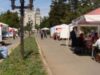 Vezi cand va avea loc Targul ONG-urilor