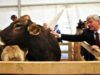 O firma americana vrea sa investeasca 150 mil. dolari in energie si agricultura in Romania