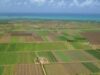 Mai mulţi bani pentru agricultura ecologică