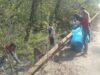 Actiune de ecologizare la Domnesti