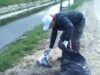 ecologizare Film documentar si lucrari de pictura pe tema ecologizarii bazinului Tisa
