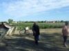 ecologizare Actiunea va incepe in aceasta saptaman
